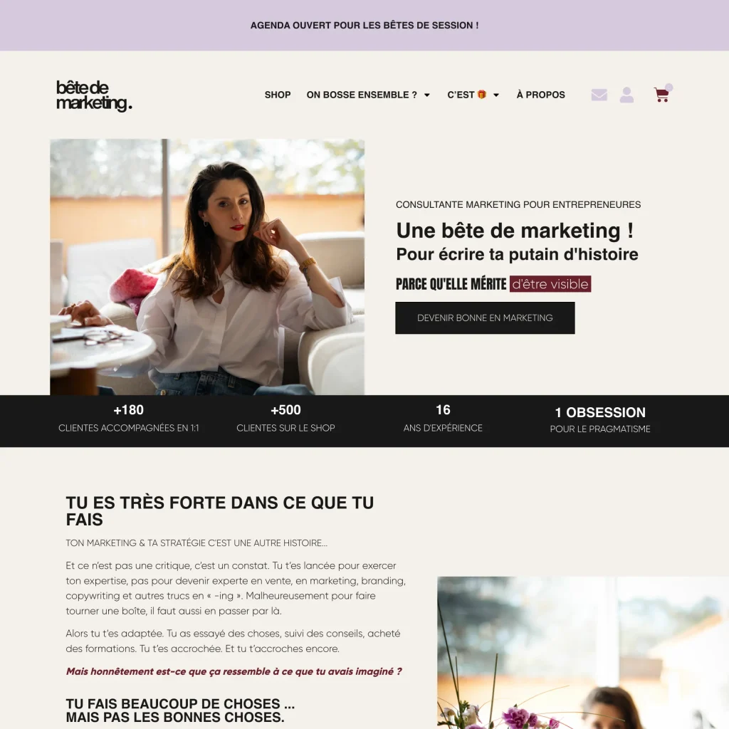 Aperçu du site internet de Bête de Marketing, consultante marketing — création Atweb Creation